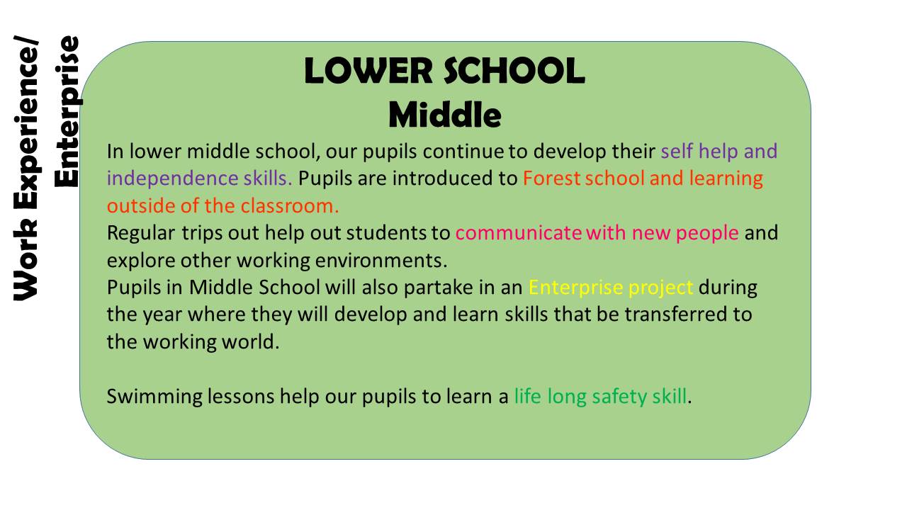 Work Experience Middle